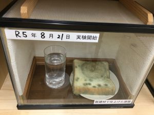 木の調湿作用